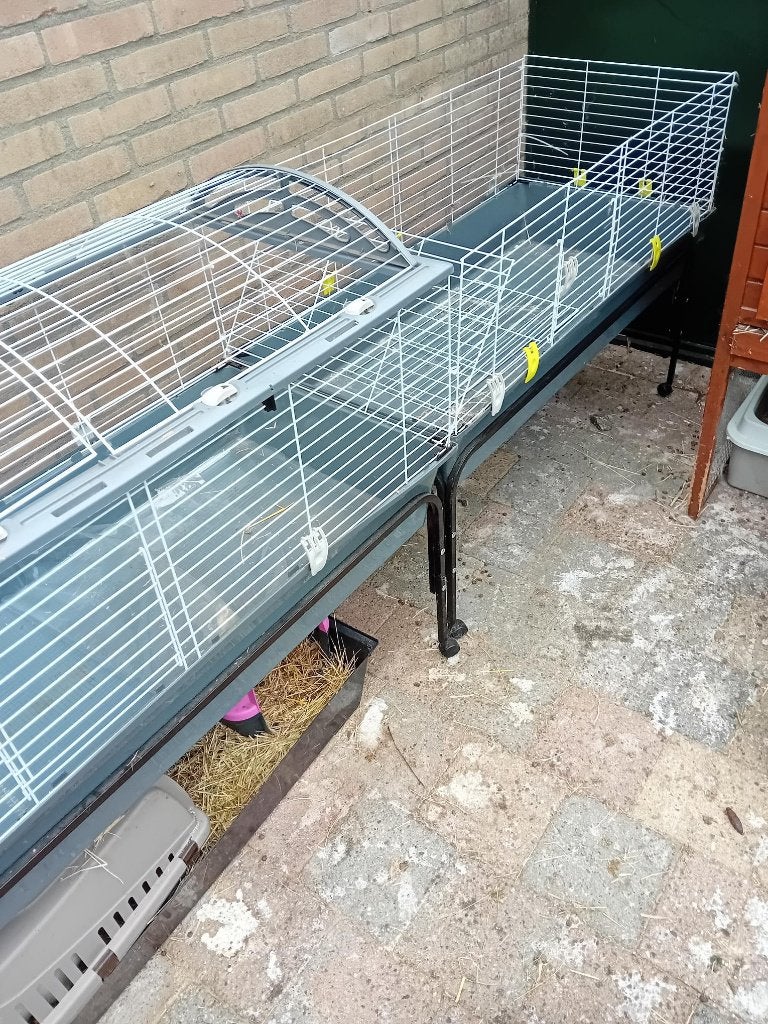 twee Ferplast  caviakooien op standaards, Minder dan 60 cm, Kooi, Ophalen of Verzenden, Cavia