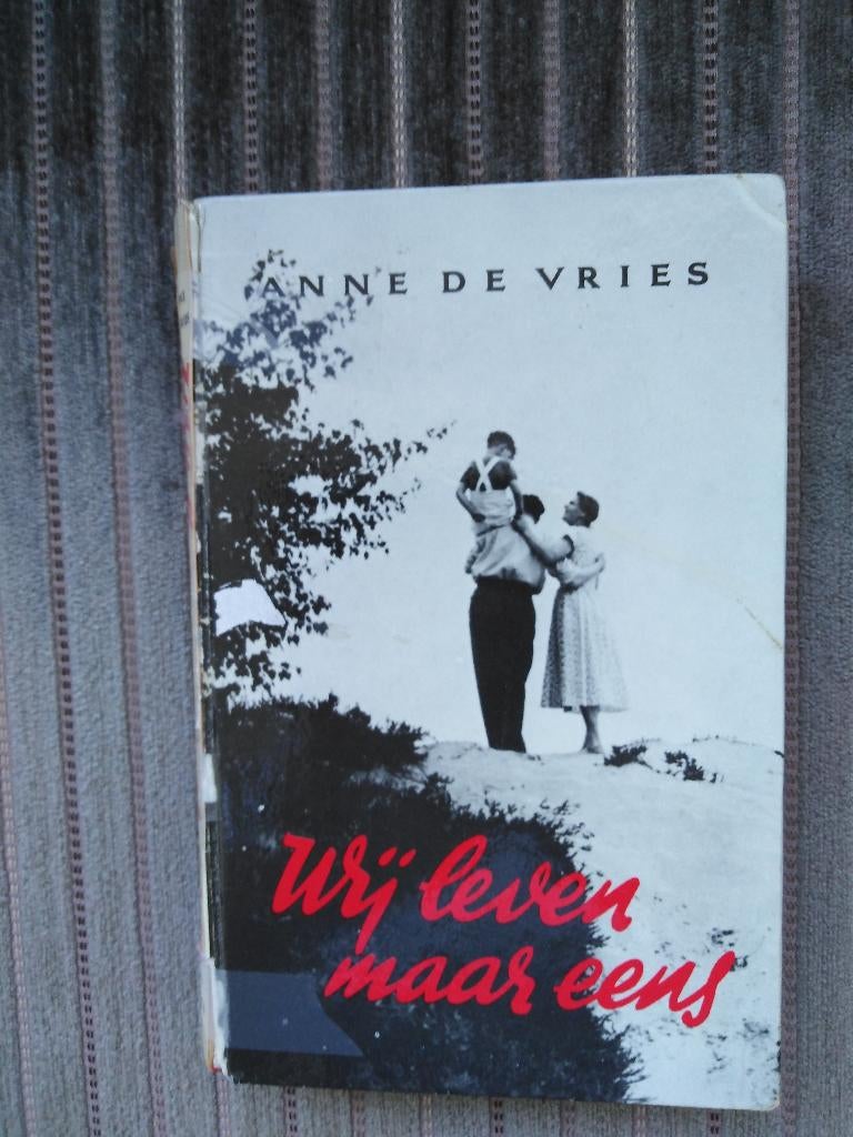 Boek - Wij leven maar eens - Anne de Vries, Gelezen, Ophalen of Verzenden, Nederland, Anne de Vries
