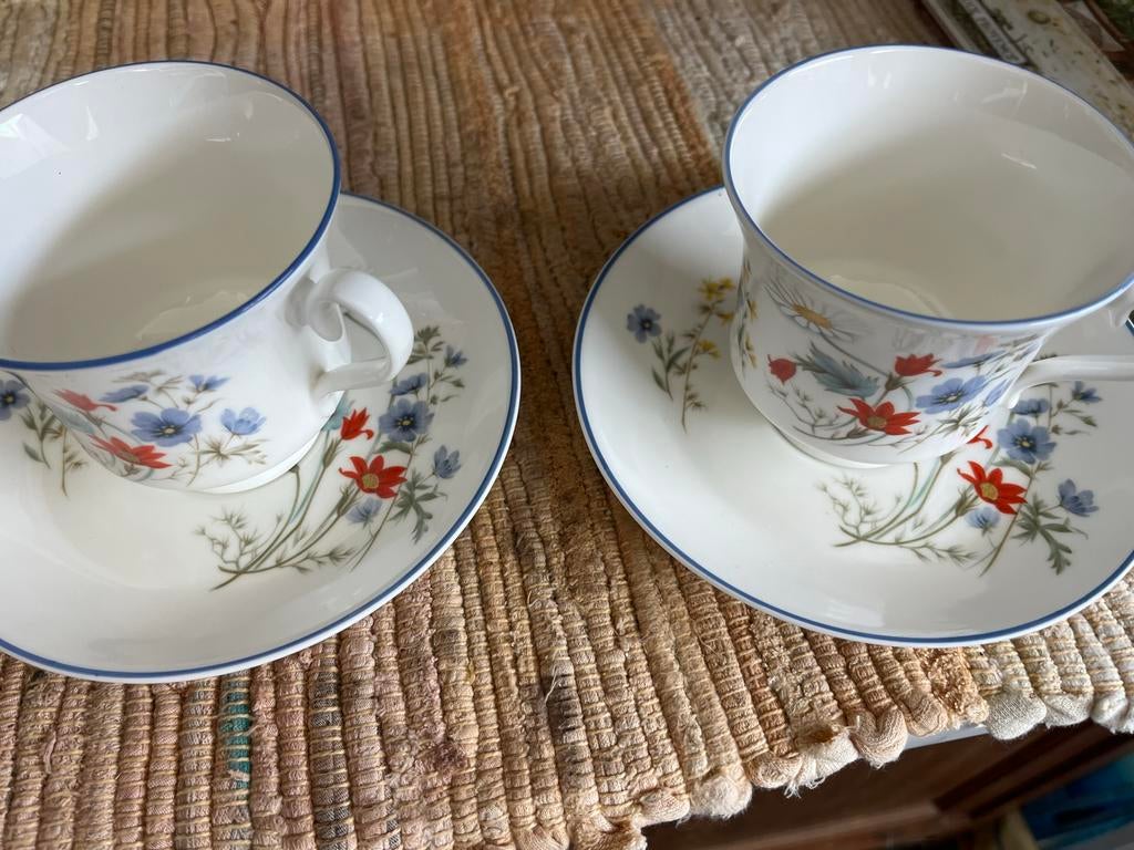 Royal Albert Kop en Schotel - Summer Breeze, Ophalen, Nieuw, Overige stijlen, Kop(pen) en/of Schotel(s)