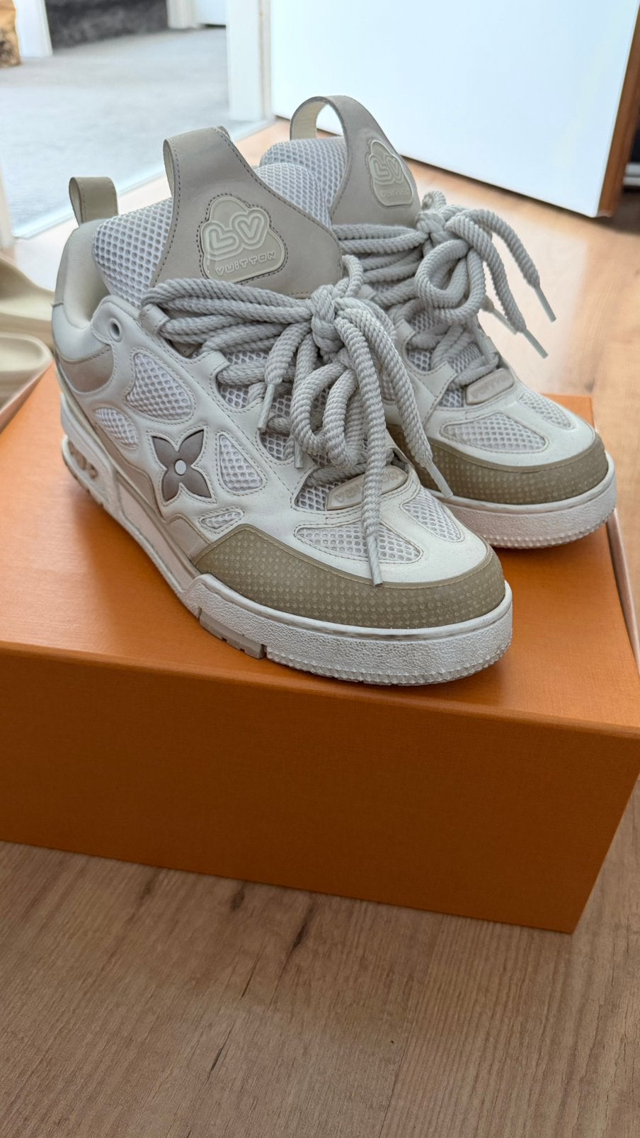 Louis Vuitton Skate sneakers, Ophalen, Gedragen