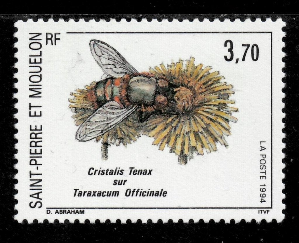 Jaar 1994 Yv 594 St-Pierre et Miquelon. Cristalis Tenax sur, Ophalen of Verzenden, Postfris, Noord-Amerika