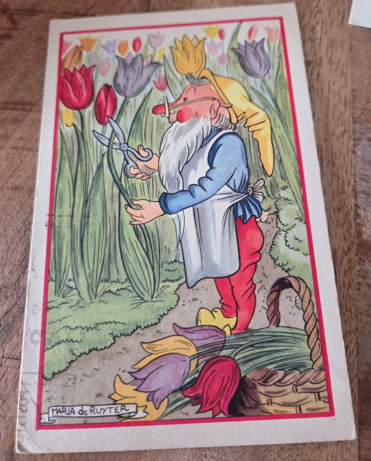 Oude ansichtkaart: Kabouter met tulpen, Maria de Ruyter, Verzenden, 1940 tot 1960, Gelopen, Kinderen