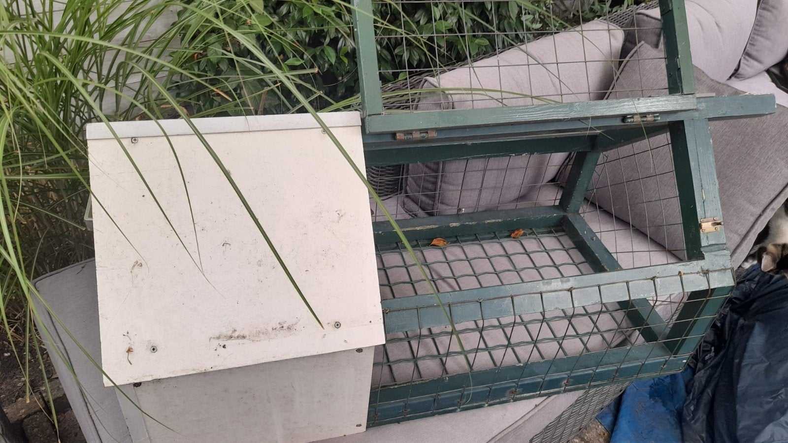 konijnenren, Dieren en Toebehoren, Ophalen, Gebruikt, Hout, Overige typen