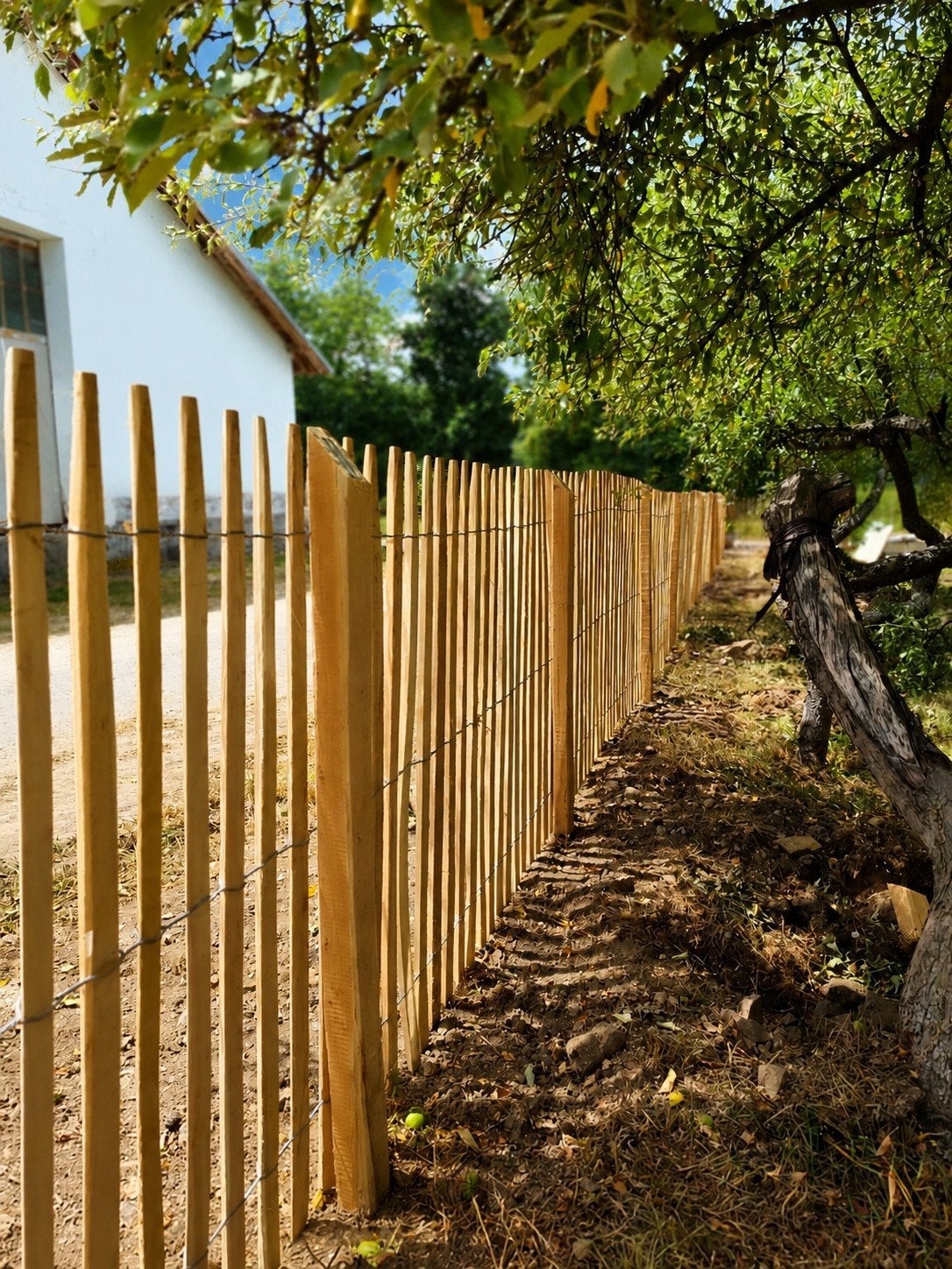 Robinia Schapenhek 120 cm Hoog | 5, 10 en 20 meter, Tuin en Terras, Schuttingen, Nieuw, Hout, 1 tot 2 meter, Minder dan 3 meter