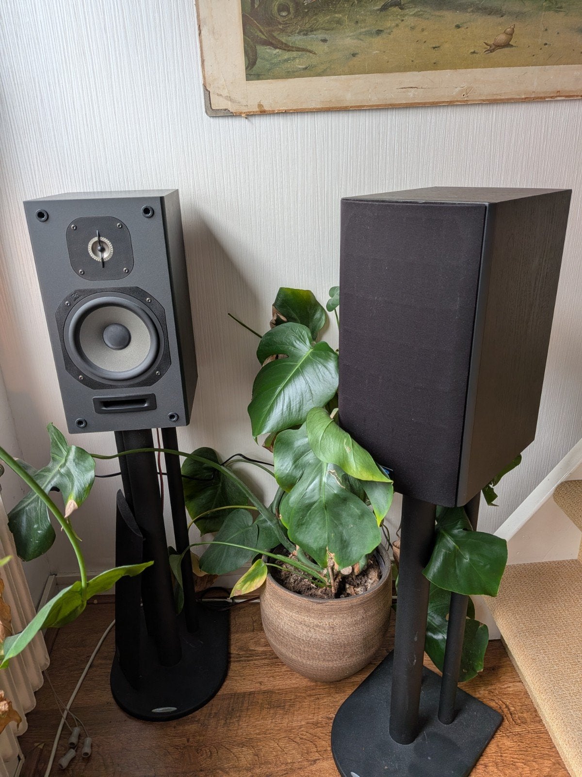 JMLab Focal Chorus 706 Boekenplank Luidsprekers en Statief