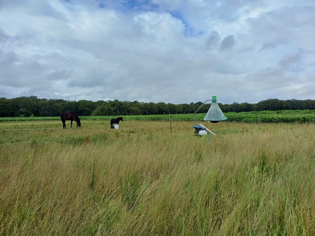 H-Trap Dazenval - SKU:Z0000098 Compleet, Dieren en Toebehoren, Stalling en Weidegang, Weidegang