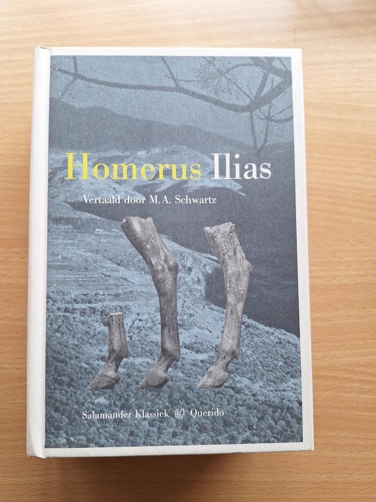 Homerus Ilias - NL vertaling, Boeken, Literatuur, Gelezen, Ophalen