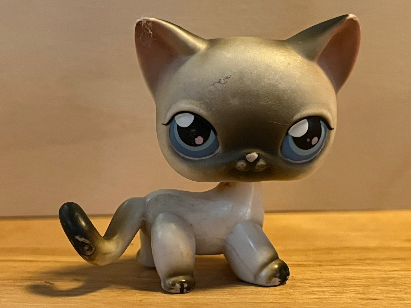 Littlest Pet Shop Korthaar Siamese Kat #5 (1#), Ophalen of Verzenden, Gebruikt