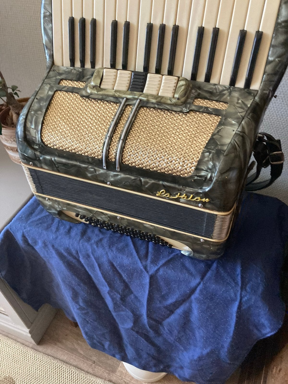 Hohner, Gebruikt, Met koffer, 60-bas, Hohner