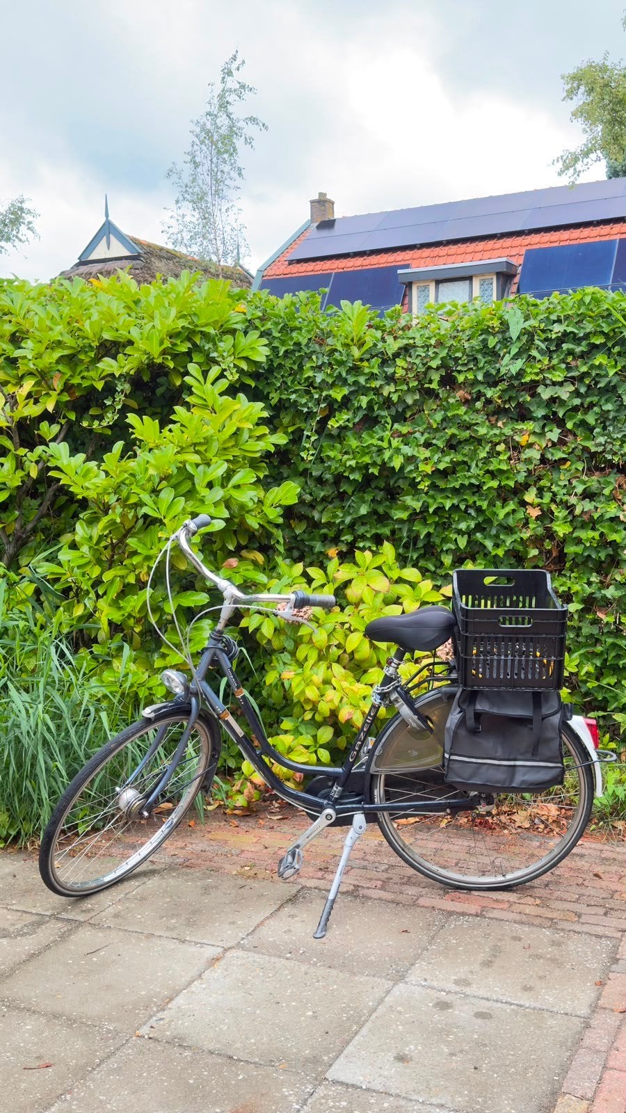 Gazelle Impala damesfiets, Fietsen en Brommers, Fietsen | Dames | Damesfietsen, Terugtraprem, Versnellingen, Ophalen of Verzenden