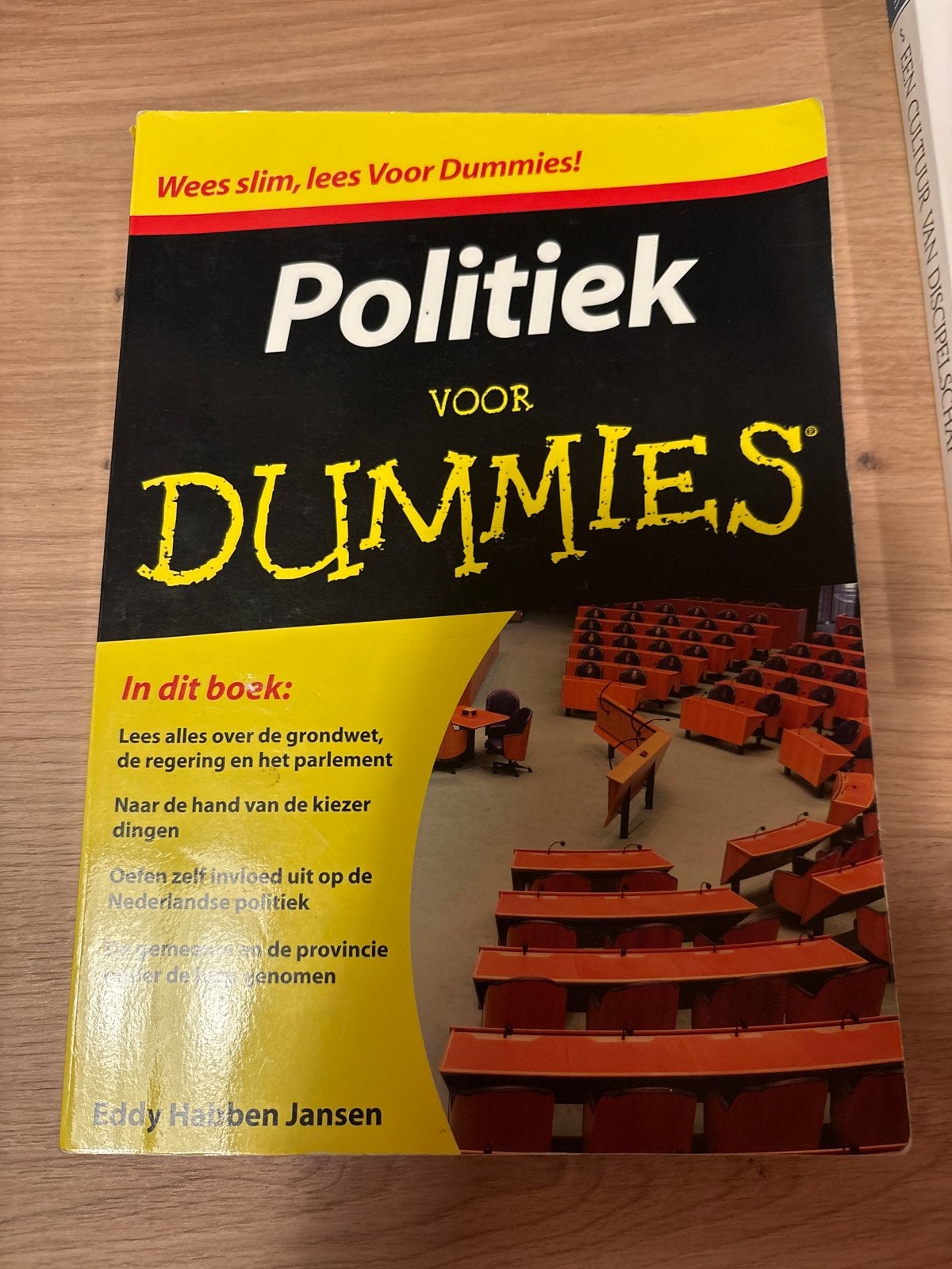 Politiek voor Dummies - Leer de Nederlandse politiek, Ophalen of Verzenden, Gelezen, Politiek en Staatkunde, Nederland