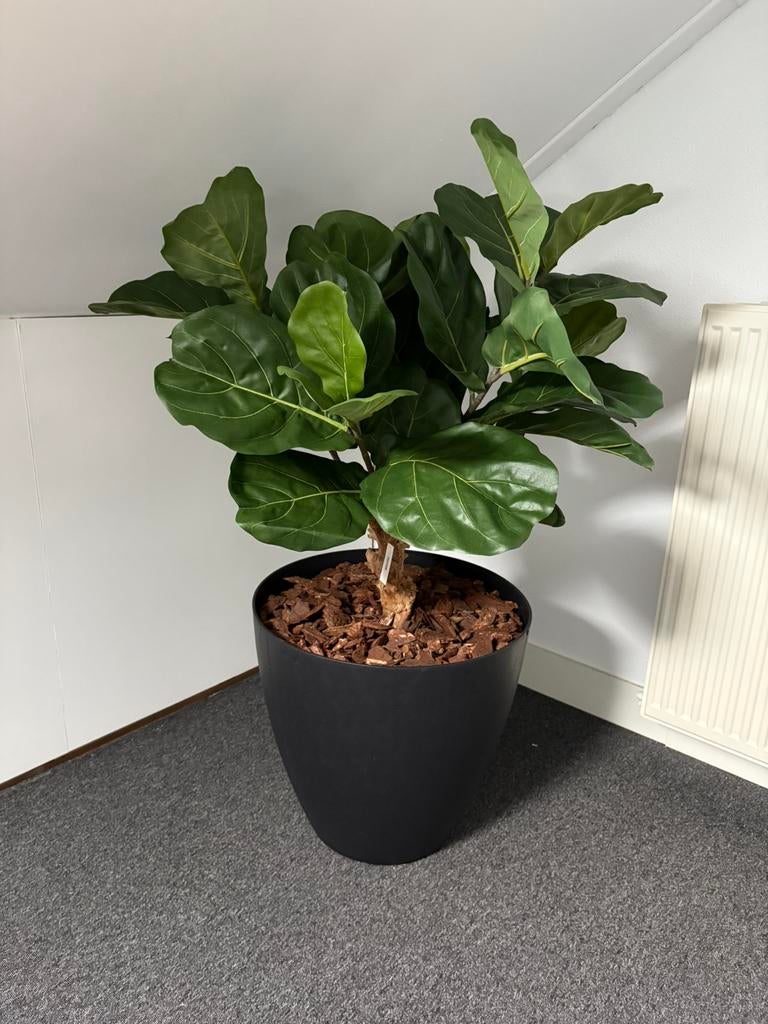 Ficus lyrata op stam kunstplant - hoogte 90 cm, Ophalen of Verzenden, Nieuw, Binnen