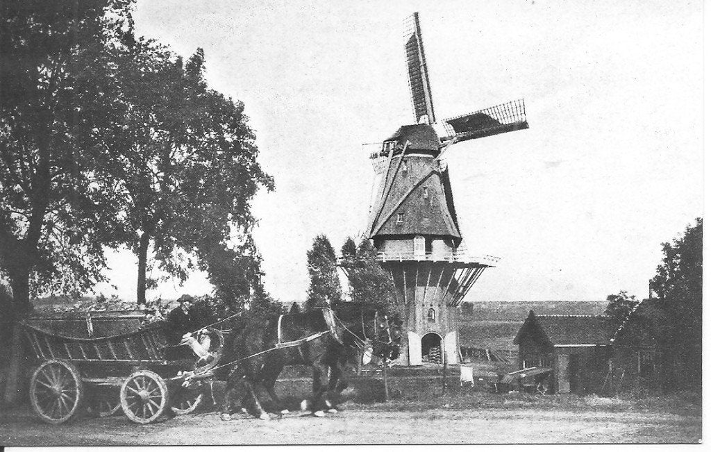 Aalsmeer Korenmolen De Korenschoof 1911, Ophalen of Verzenden, 1960 tot 1980, Gelopen, Noord-Holland