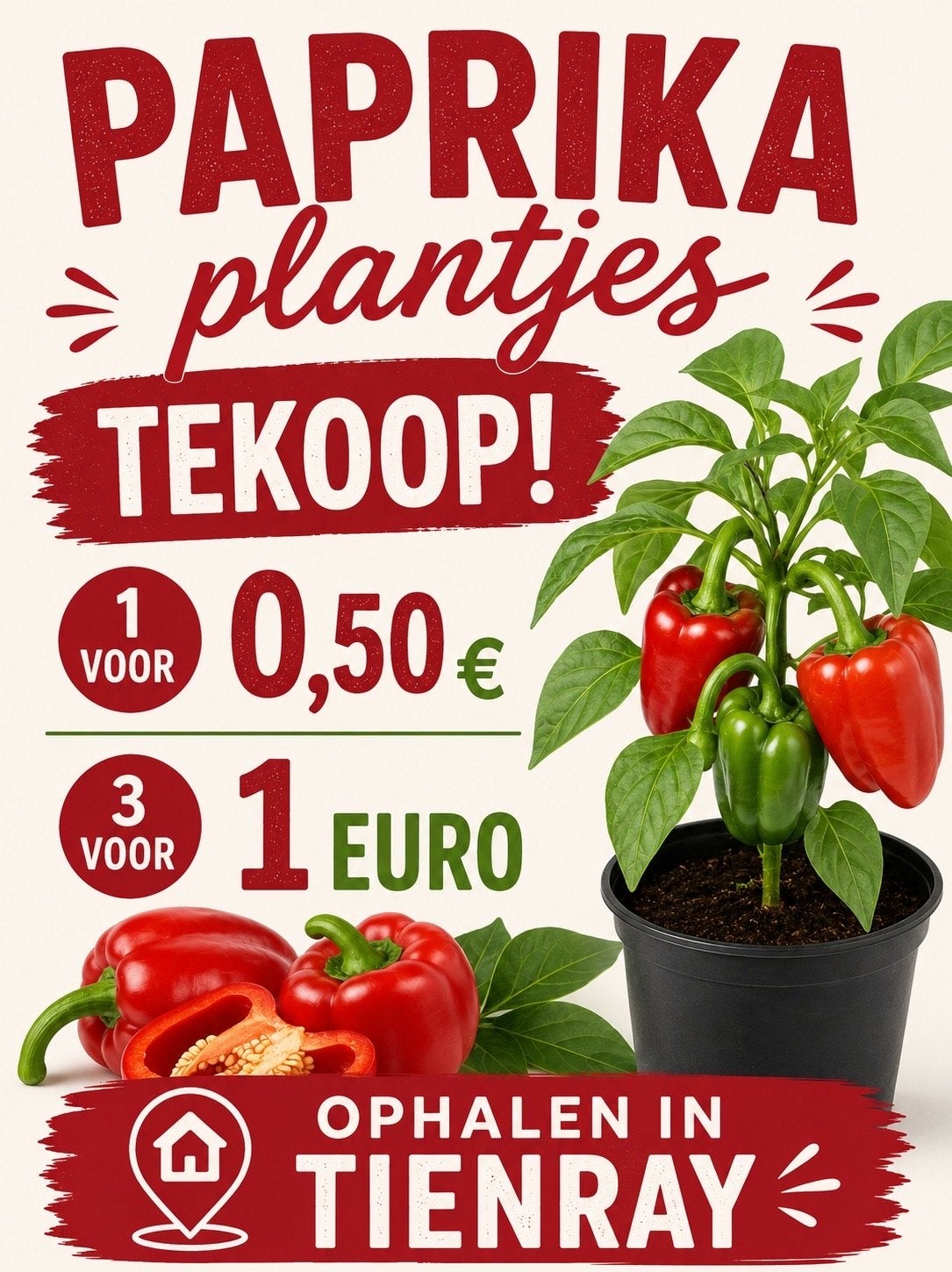 Paprika plantjes, Ophalen, Volle zon, Groenteplanten, Eenjarig