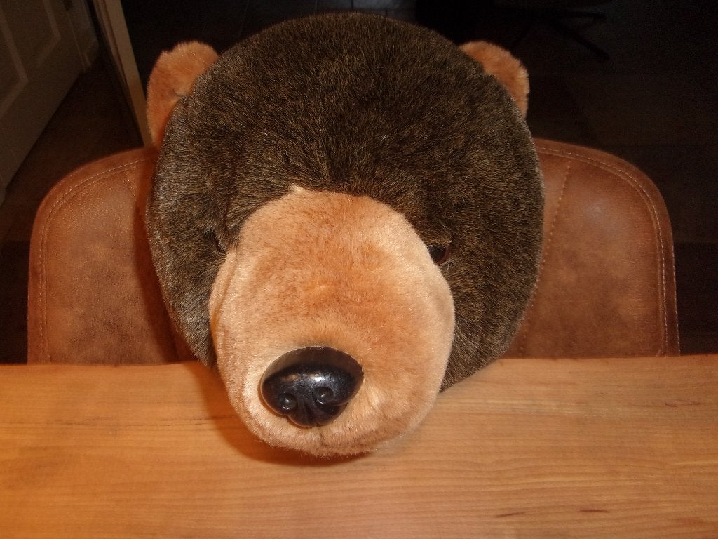 Berenkop voor aan de muur, 30 cm, 25 cm, Decoratieobject, Ophalen of Verzenden