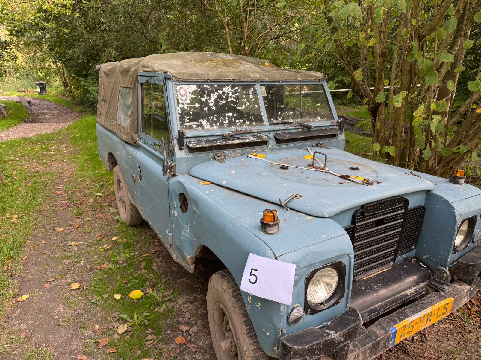 Landrover series 1, 2 en 3, Bedrijf, Diesel, Te koop, Series