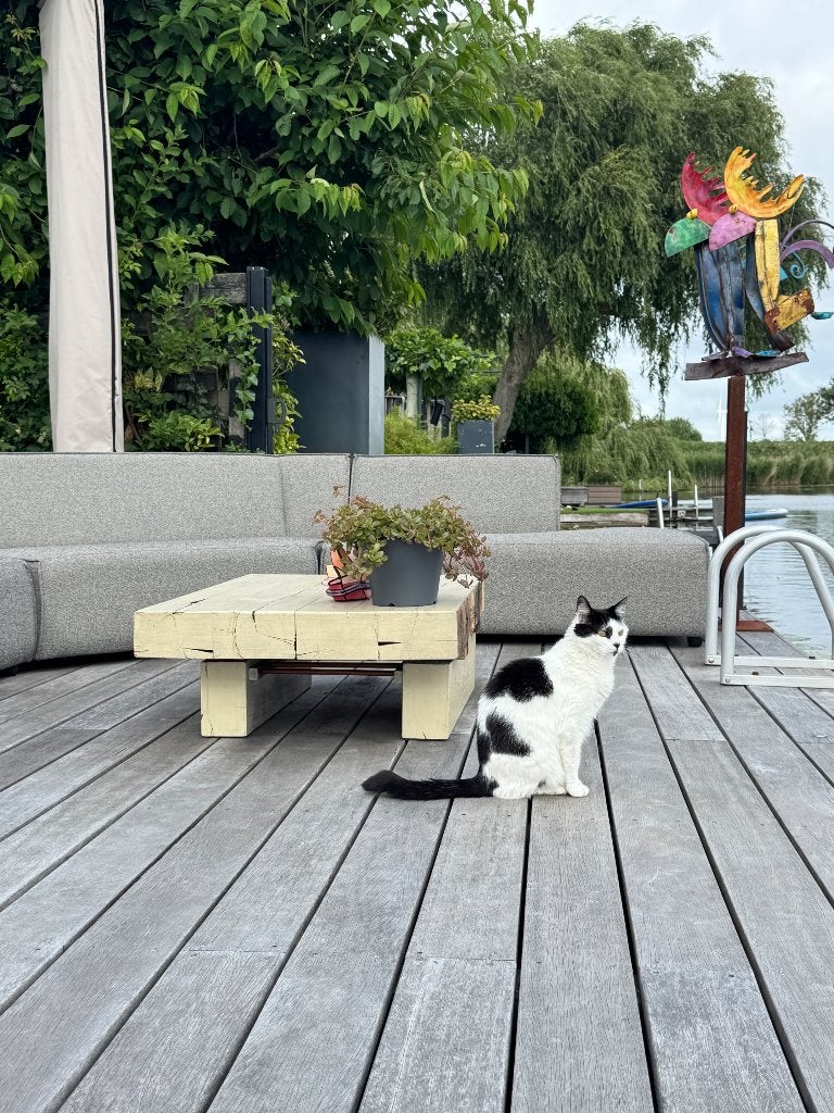 Salontafel, Huis en Inrichting, Tafels | Salontafels, Ophalen, Gebruikt, Stoer, 100 tot 150 cm