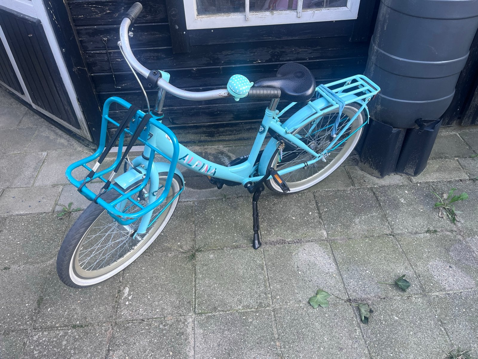 Alpina kinderfiets  22 inch met voordrager - Lichtblauw, Ophalen, Gebruikt, 20 inch of meer