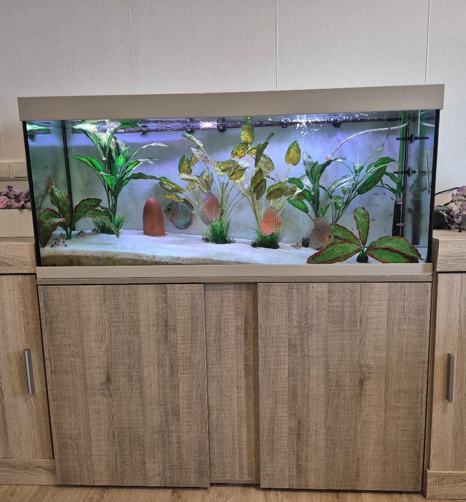 aquarium Eheim 120 cm/40 cm/50 cm, Ophalen, Aquariummeubel, Zo goed als nieuw, Inclusief vissen