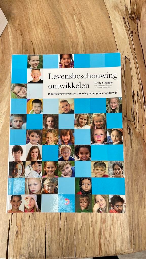 Jef De Schepper - Levensbeschouwing ontwikkelen, Jef De Schepper, Ophalen of Verzenden, Zo goed als nieuw, Nederlands