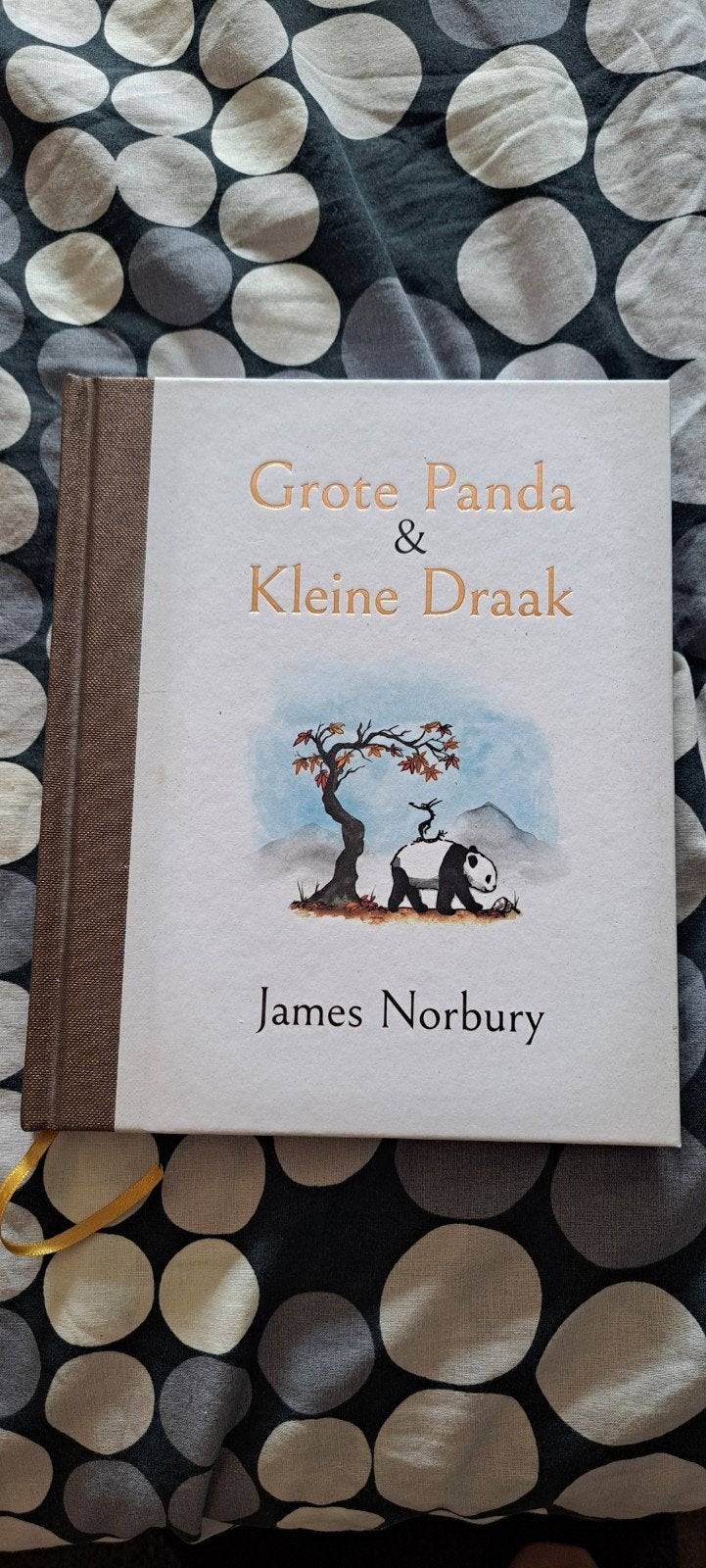 Grote Panda & Kleine Draak - James Norbury, Boeken, Ophalen of Verzenden, Zo goed als nieuw, James Norbury, Nederland