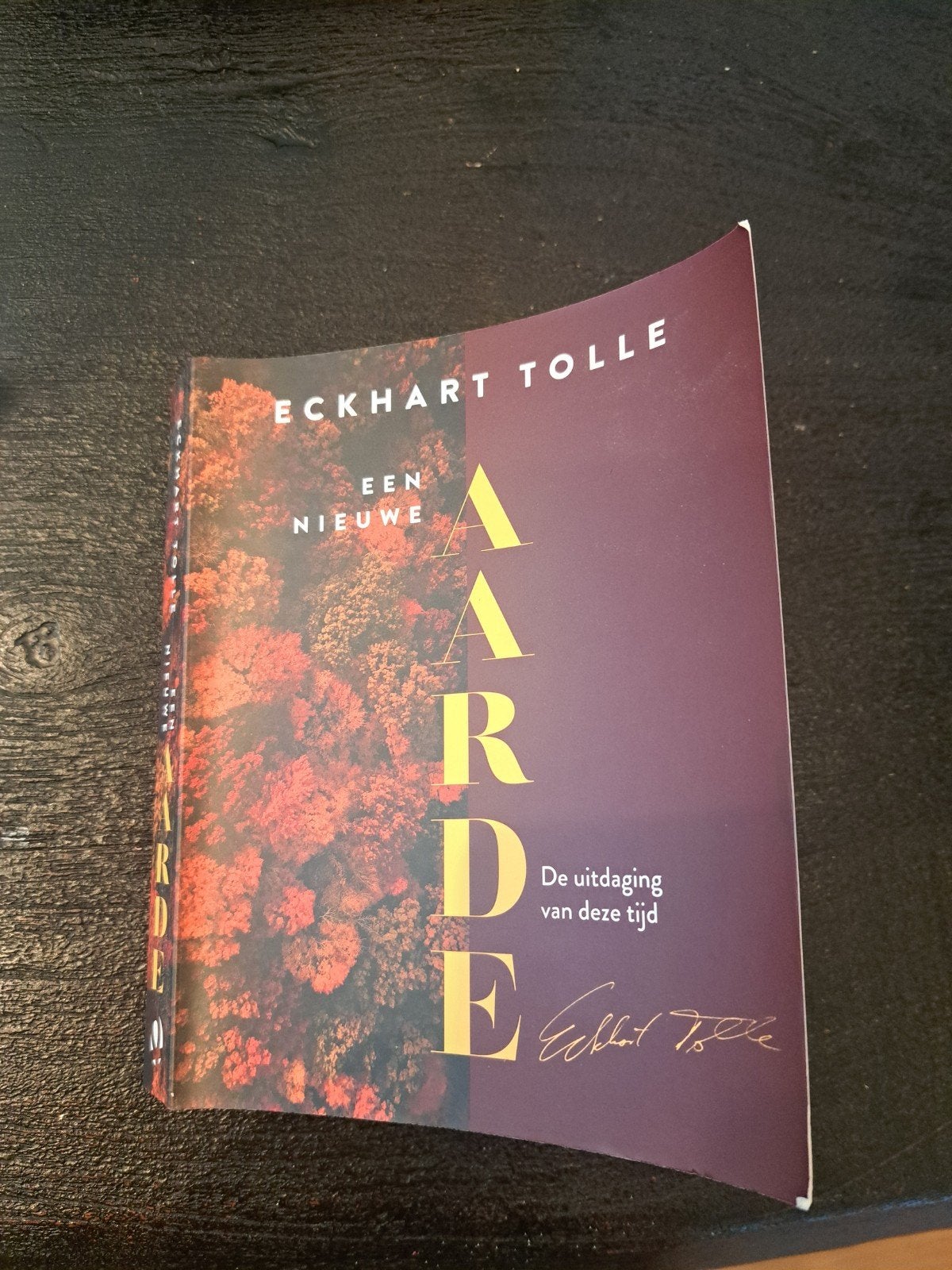 Een Nieuwe Aarde - Eckhart Tolle, Achtergrond en Informatie, Spiritualiteit algemeen, Ophalen of Verzenden, Zo goed als nieuw