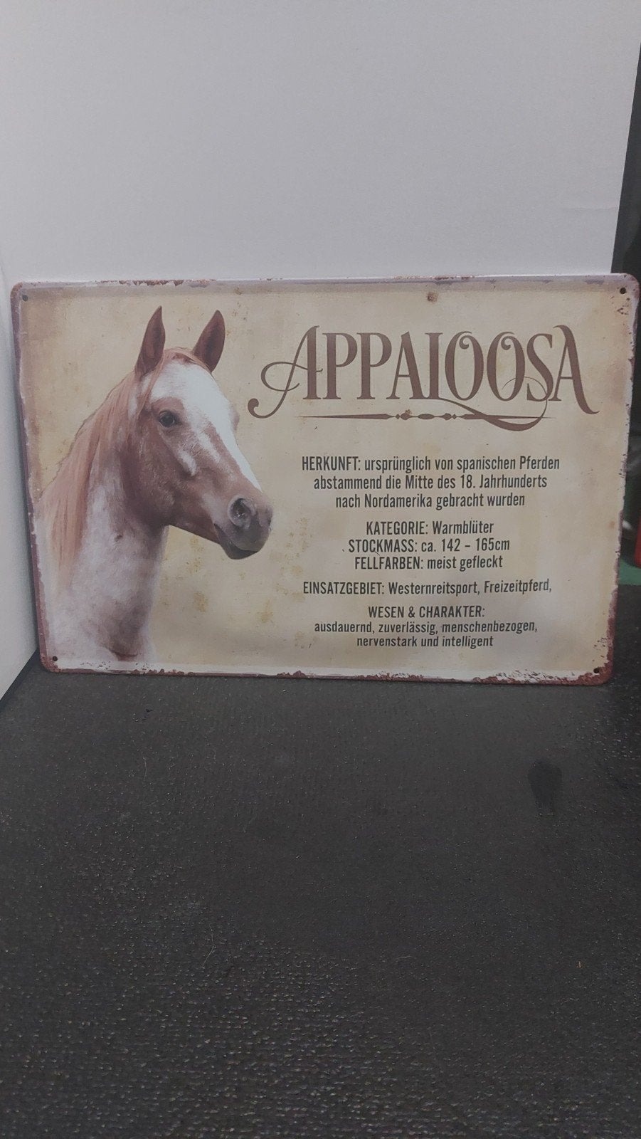 Appaloosa paard wandbord 20x30cm, Metaal, Industrieel, Meerkleurig, Nieuw