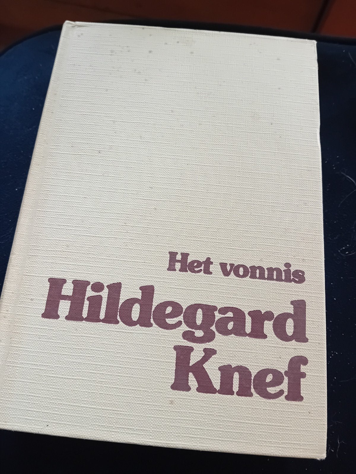 Boek Hildegard Knef., Boeken, Ophalen of Verzenden