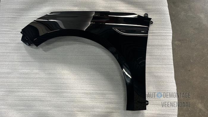Scherm links-voor van een Renault Megane (TEGNE), -, Renault, -, Nieuw