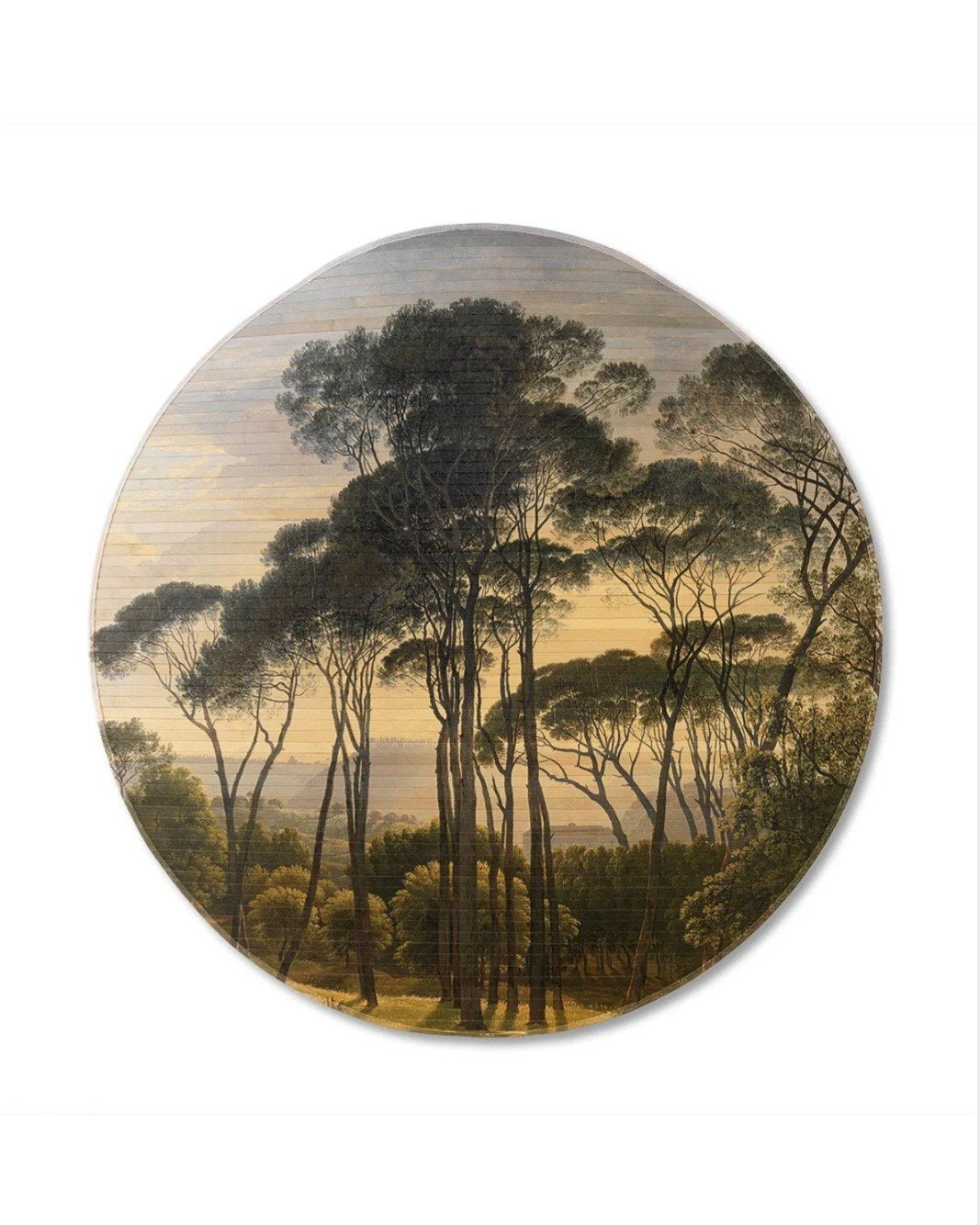 Wanddecoratie Bamboe Wandcirkel - Diameter 120 cm, Ophalen, Zo goed als nieuw, Natuurlijk materiaal, Wandcirkel