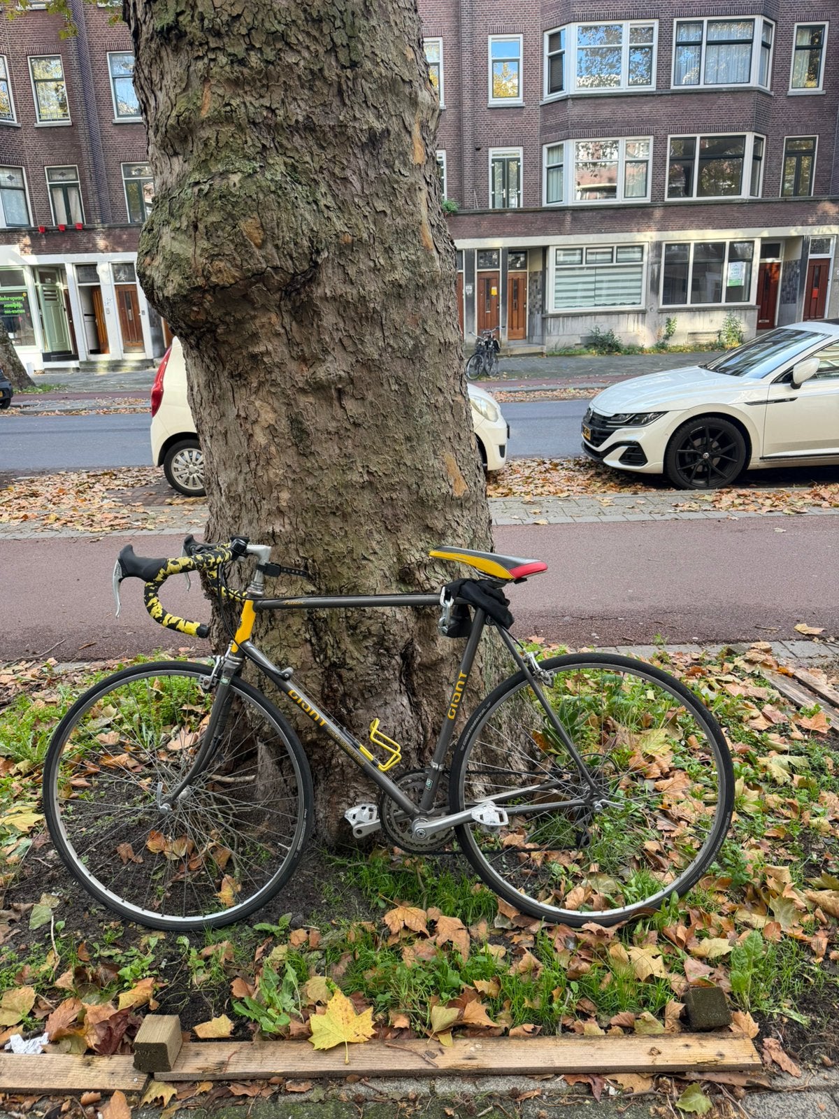 Giant - quality touched by Koga, Fietsen en Brommers, Ophalen, Gebruikt, Staal, Giant