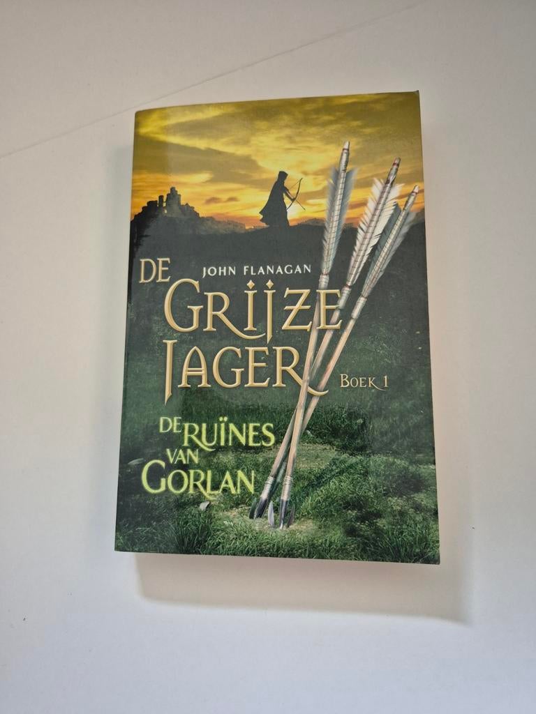 De Grijze Jager: De Ruïnes van Gorlan - Boek 1, Ophalen of Verzenden