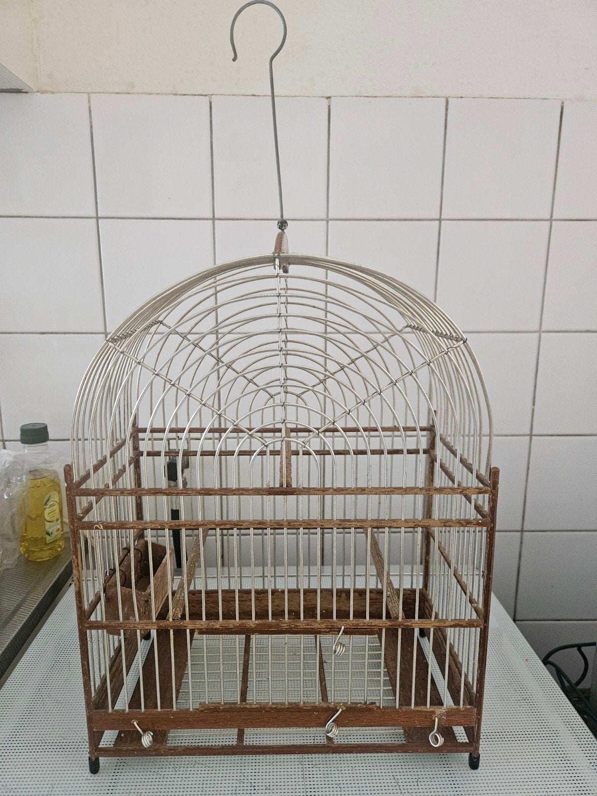 surinaamse kooi, Dieren en Toebehoren, Vogels | Overige Vogels, Geslacht onbekend