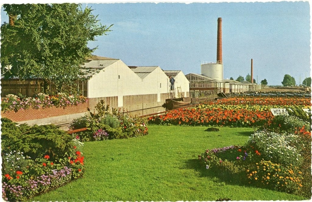 Aalsmeer, Ophalen of Verzenden, Voor 1920, Gelopen, Noord-Holland