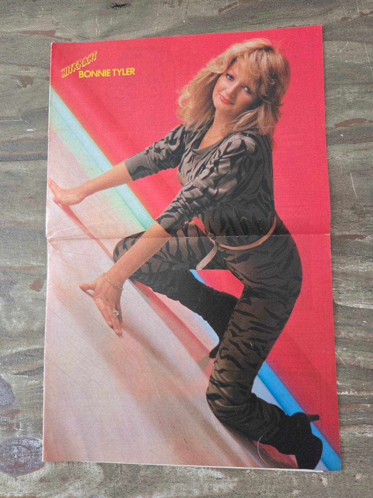 Hitkrant poster van Bonnie Tyler, Ophalen of Verzenden, Zo goed als nieuw, A1 t/m A3, Muziek