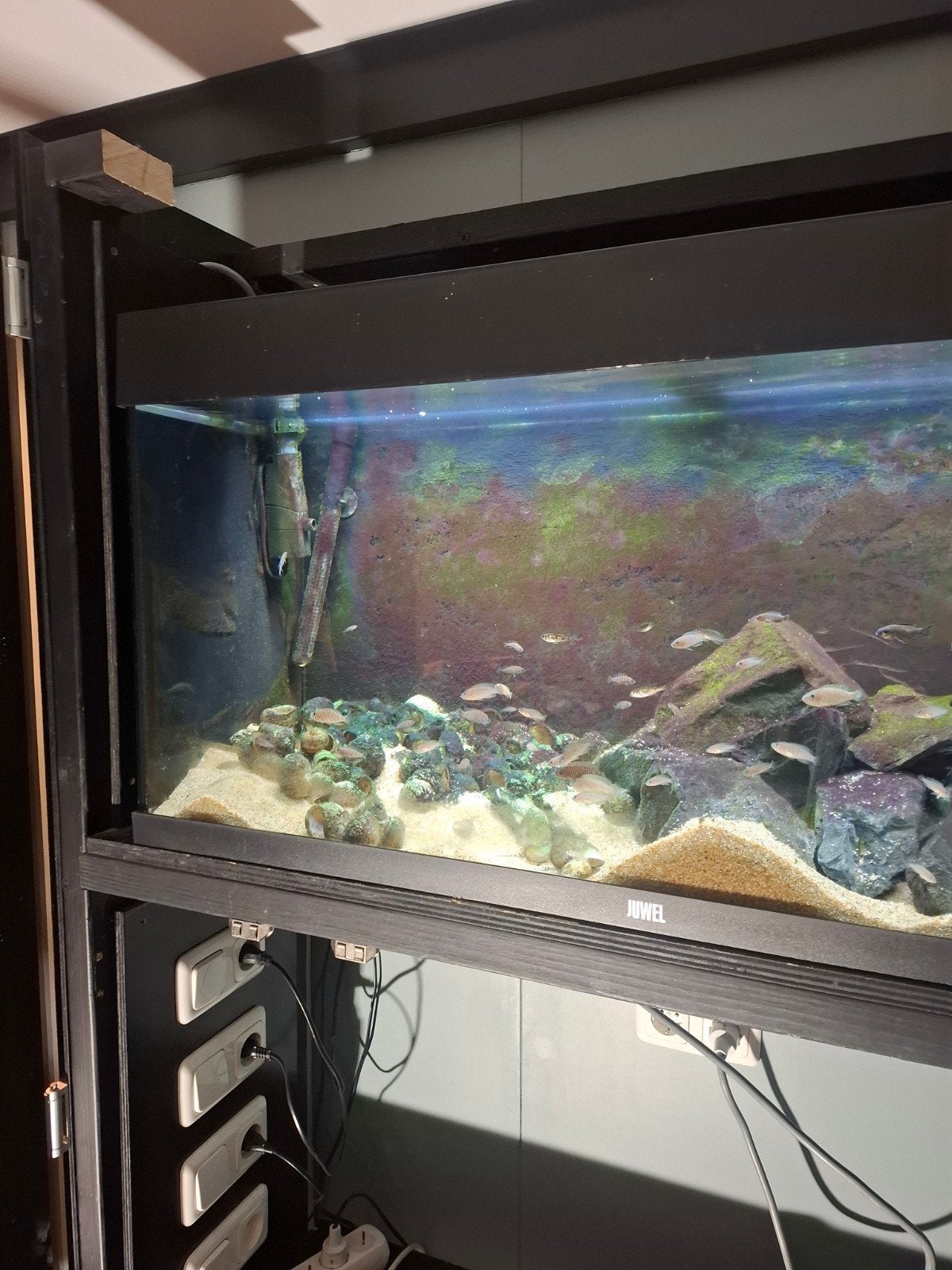 kweek aquarium compleet goede staat, Ophalen, Leeg aquarium
