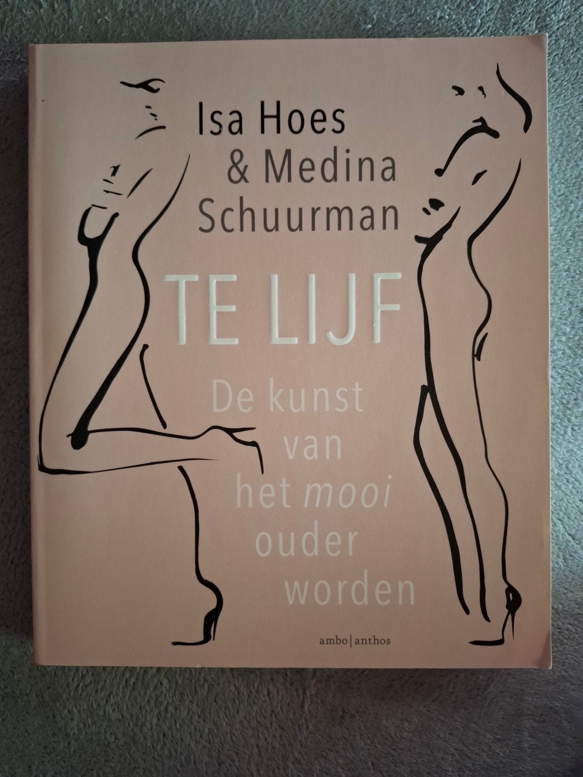 Te lijf De kunst van het mooi ouder worden Hoes & Schuurma, Boeken, Isa Hoes & Medina Schuurman, Zo goed als nieuw, Overige typen