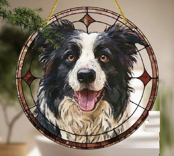 Raamhanger border collie, Verzenden, Nieuw