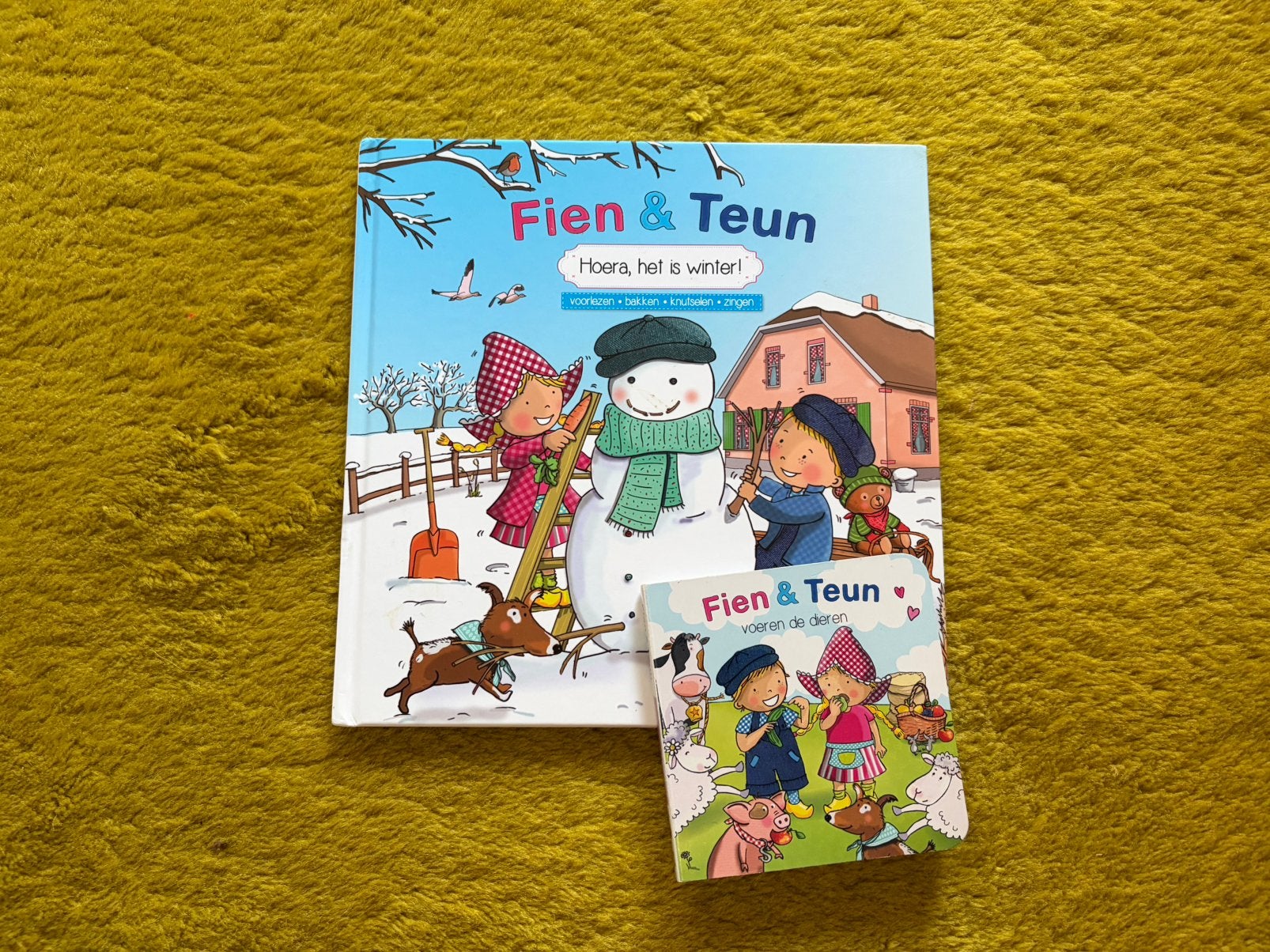 2 boekjes Fien & Teun, Ophalen of Verzenden, Zo goed als nieuw, 3 tot 4 jaar