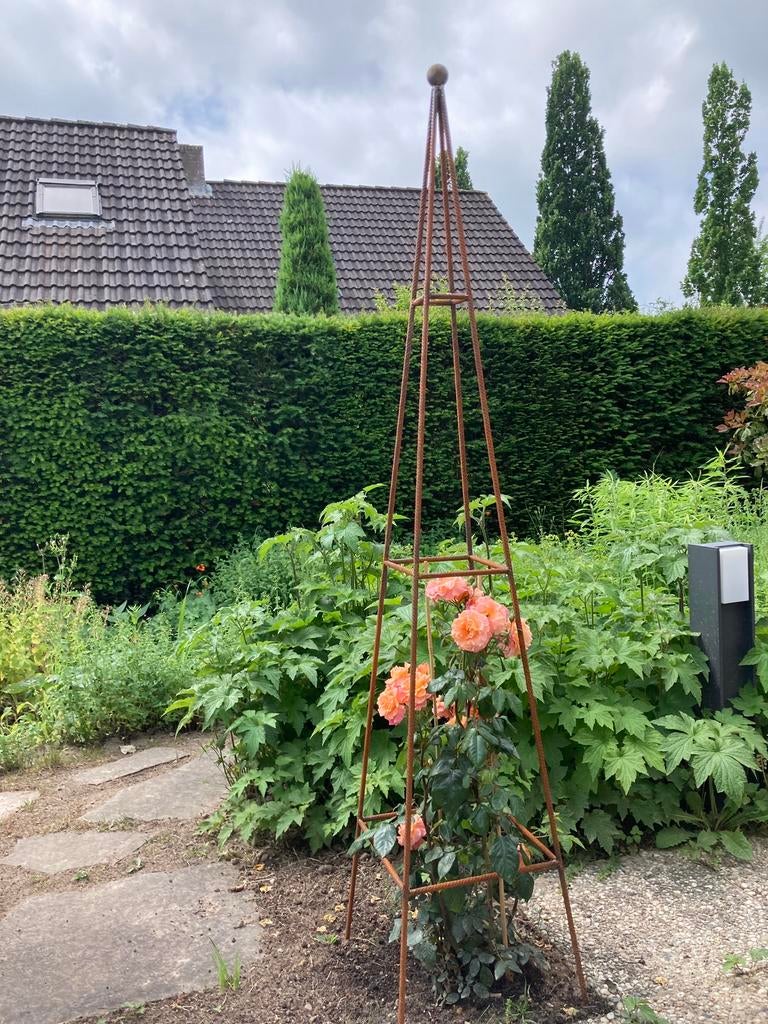Obelisk, plantensteun, Ophalen, Bloeit niet, Halfschaduw, 100 tot 250 cm
