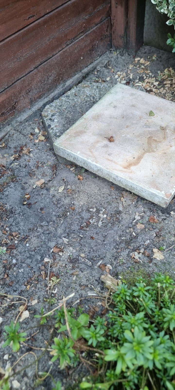 Gratis dingen, Tuin en Terras, Waterpartijen en Fonteinen, Ophalen, Beton