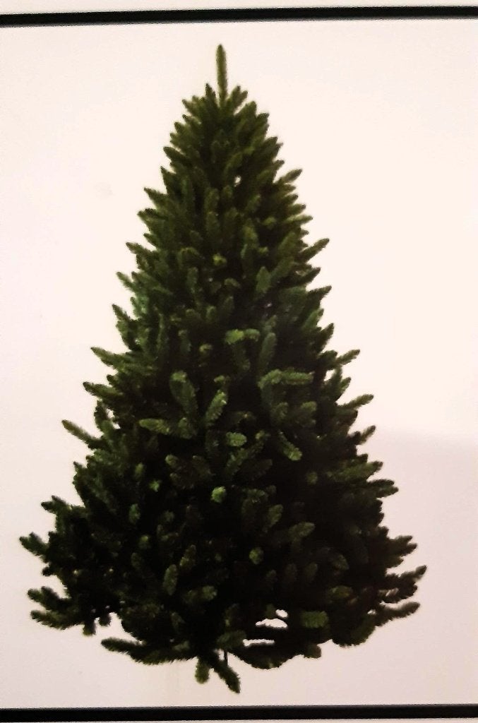 Kerstboom, Ophalen, Zo goed als nieuw