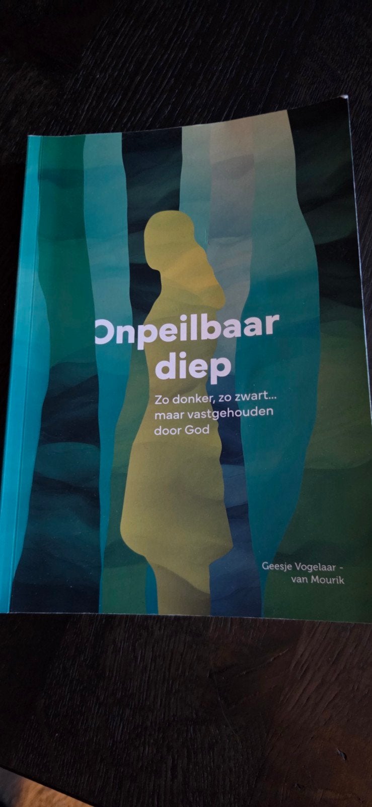 Onpeilbaar diep - Geesje Vogelaar-van Mourik, Boeken, Ophalen of Verzenden, Zo goed als nieuw, Geesje Vogelaar-van Mourik, Nederland