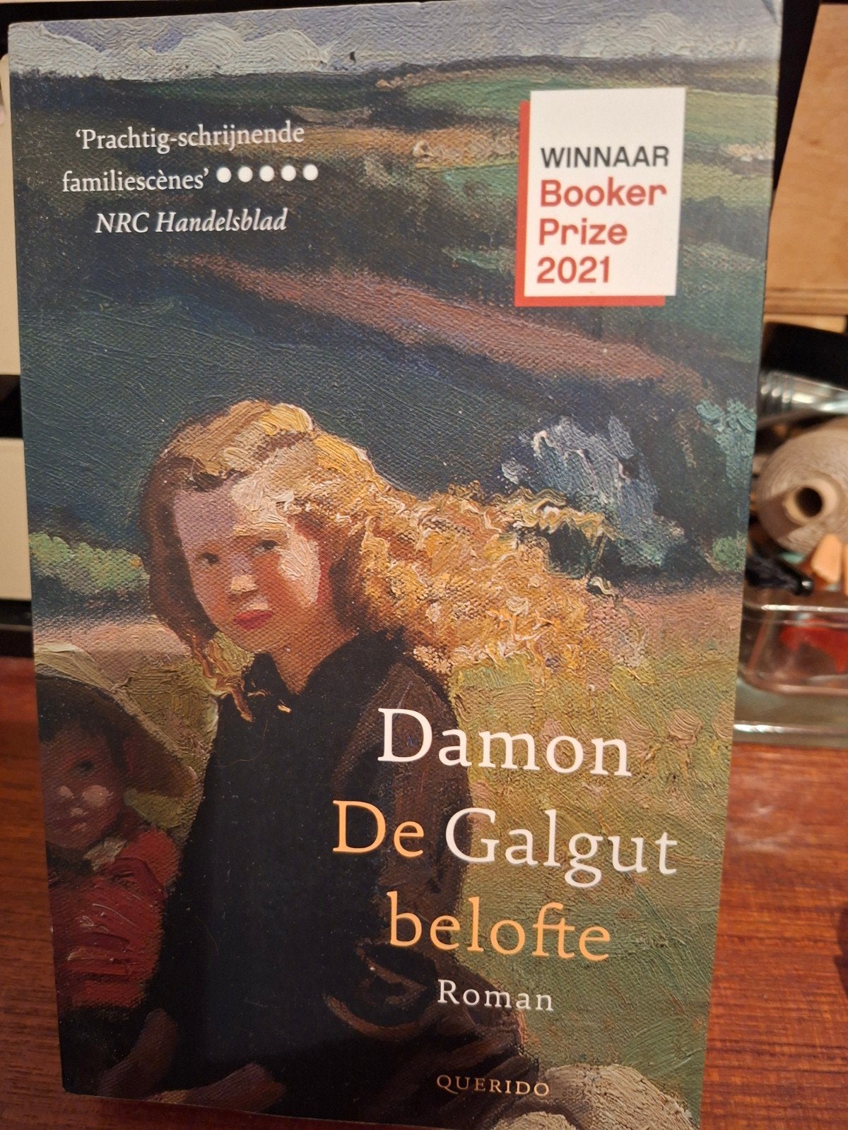 Damon Galgut - De belofte, Verzenden, Zo goed als nieuw, Damon Galgut