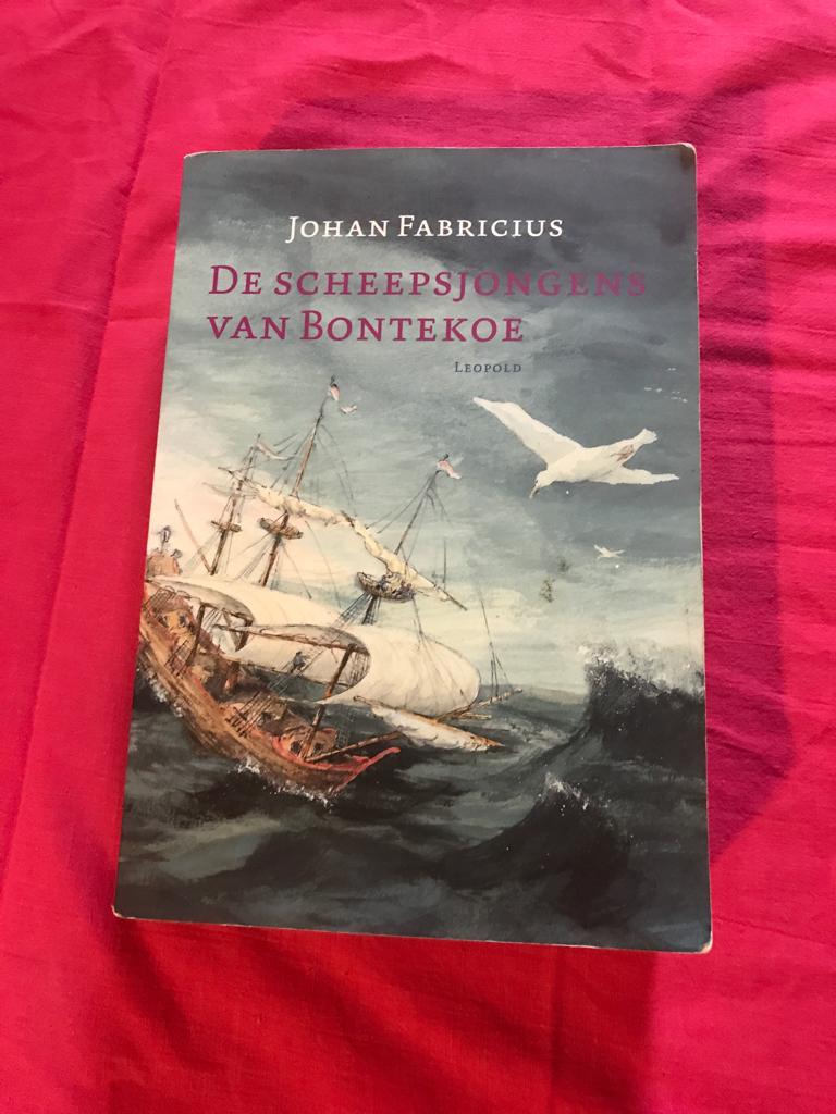 Johan Fabricius.   De scheepsjongens van Bontekoe, Ophalen of Verzenden, Zo goed als nieuw