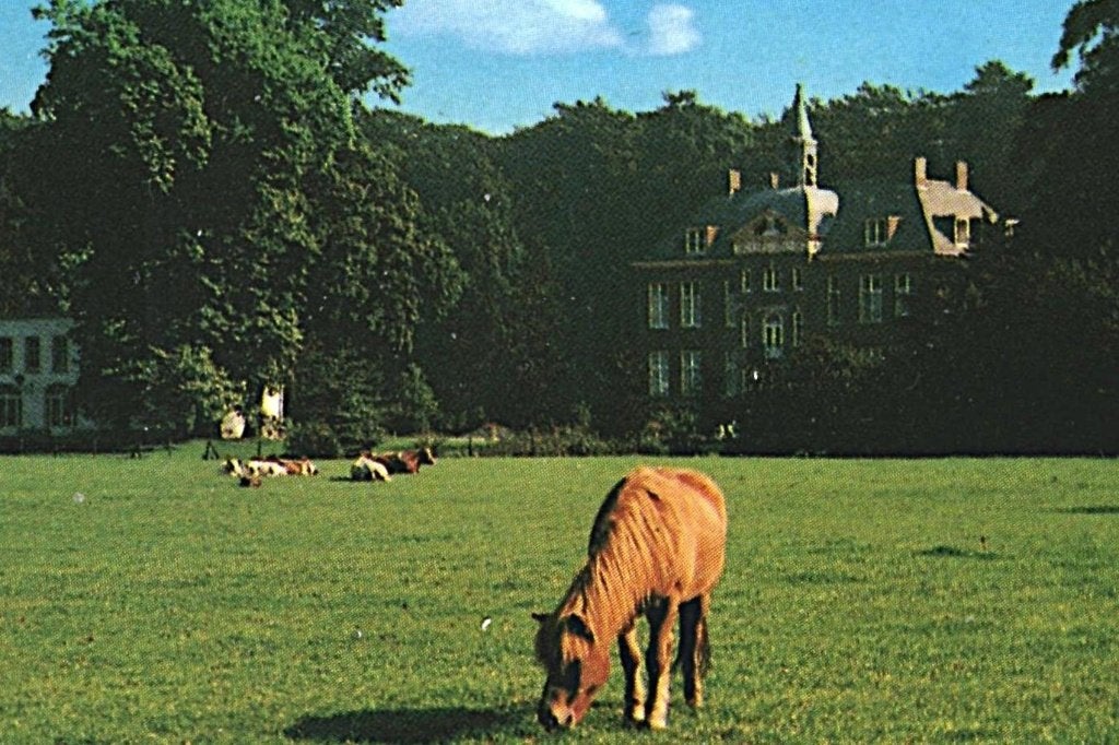 37604 Ede Gld Nette oude kaart Onbeschreven, Ophalen of Verzenden, 1960 tot 1980, Ongelopen, Gelderland