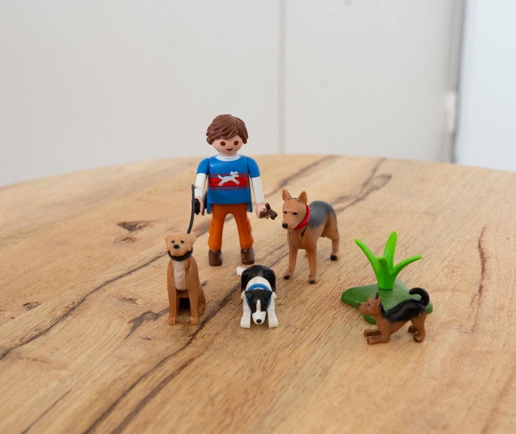 Playmobil City Life 9279 Hondenbegeleider, Complete set, Ophalen of Verzenden, Zo goed als nieuw, City life
