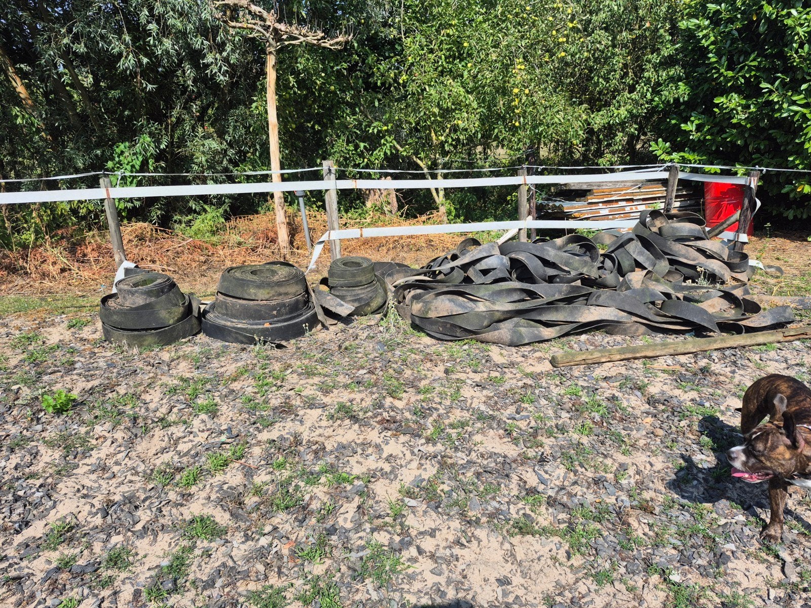 rubberband voor om paddock of rijbak