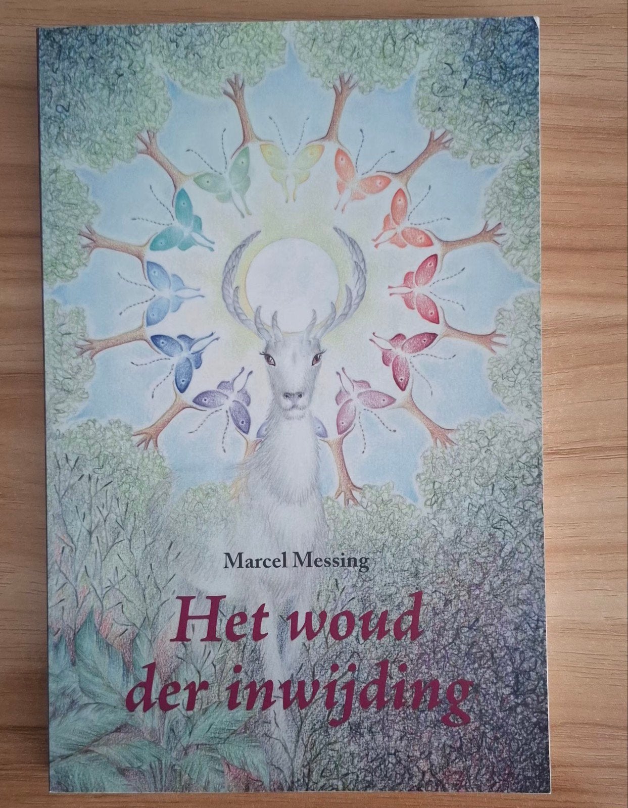 Marcel Messing - Het woud der inwijding, Boeken, Achtergrond en Informatie, Nieuw, Ophalen of Verzenden, Marcel Messing