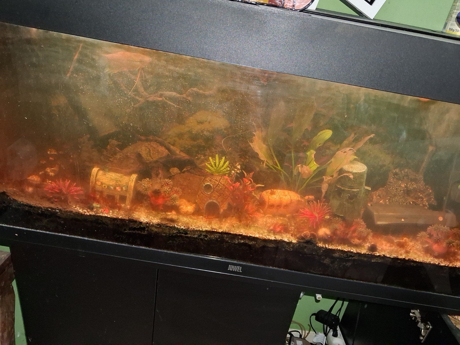 aquarium, Ophalen, Gebruikt, Leeg aquarium